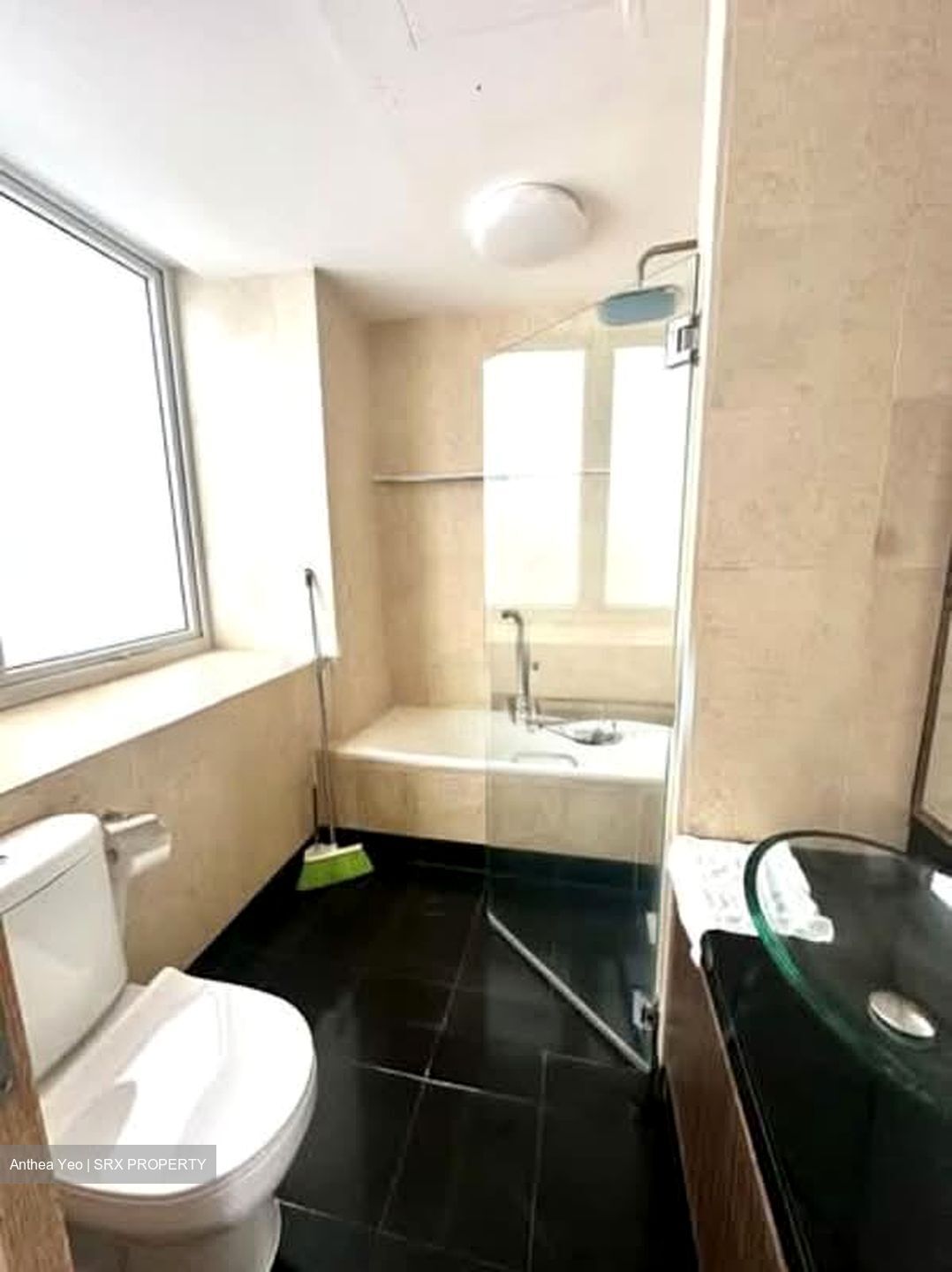 Duchess Manor (D10), Condominium #548095571